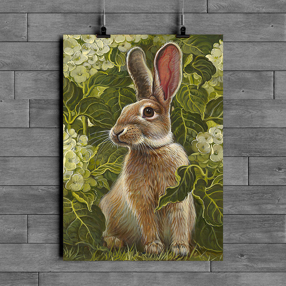 Rabbit Poster Qg141201Pt