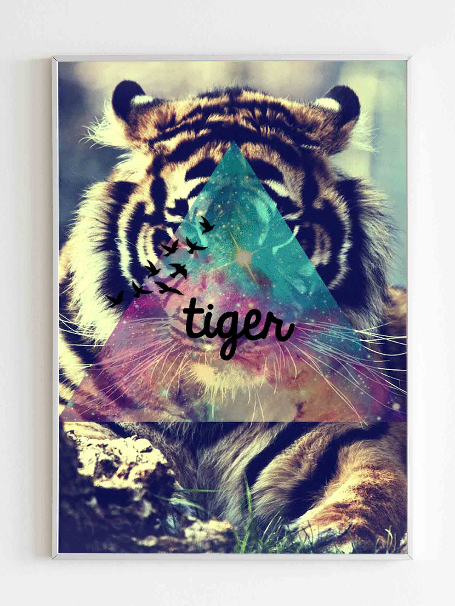 Tiger Animal Poster