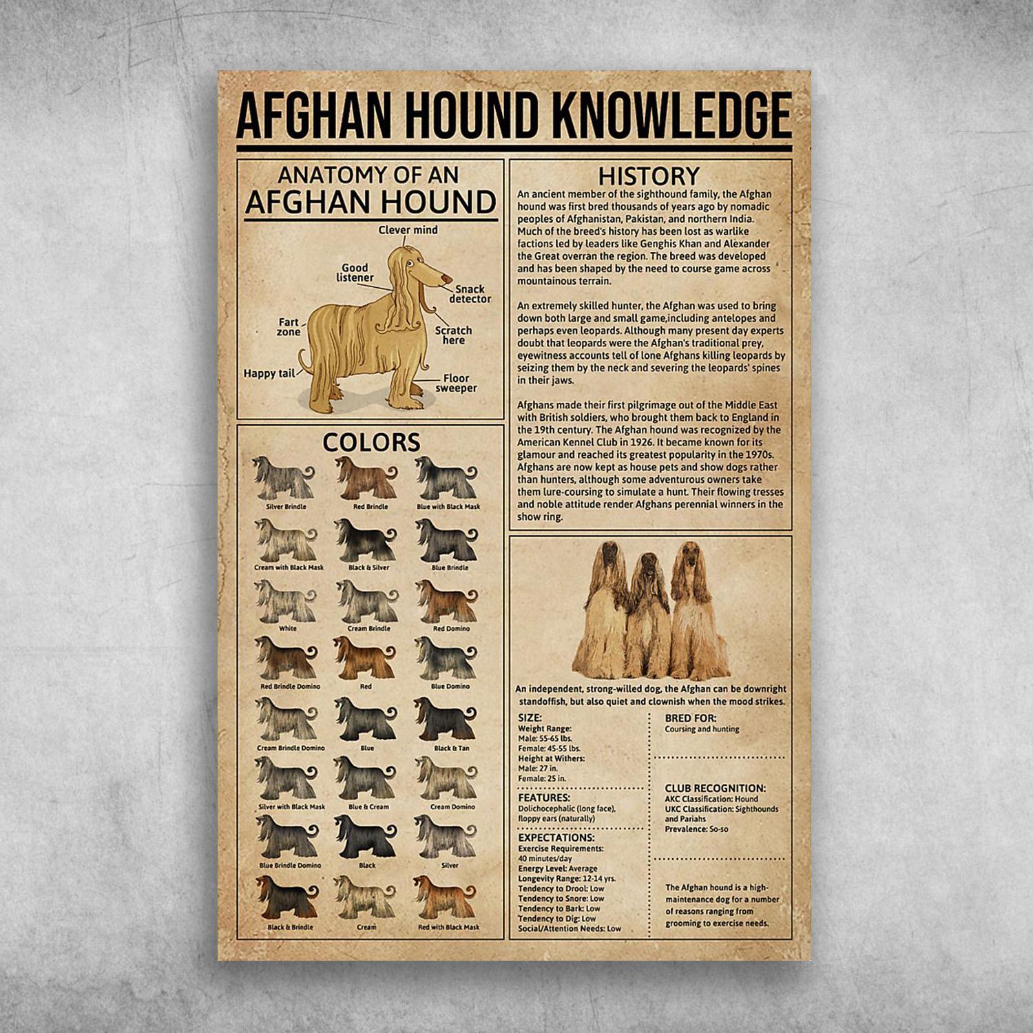 Afghan Hound Knowledge Anatomy Of An Afghan Hound Poster Print Wall Art Canvas Wall Decor