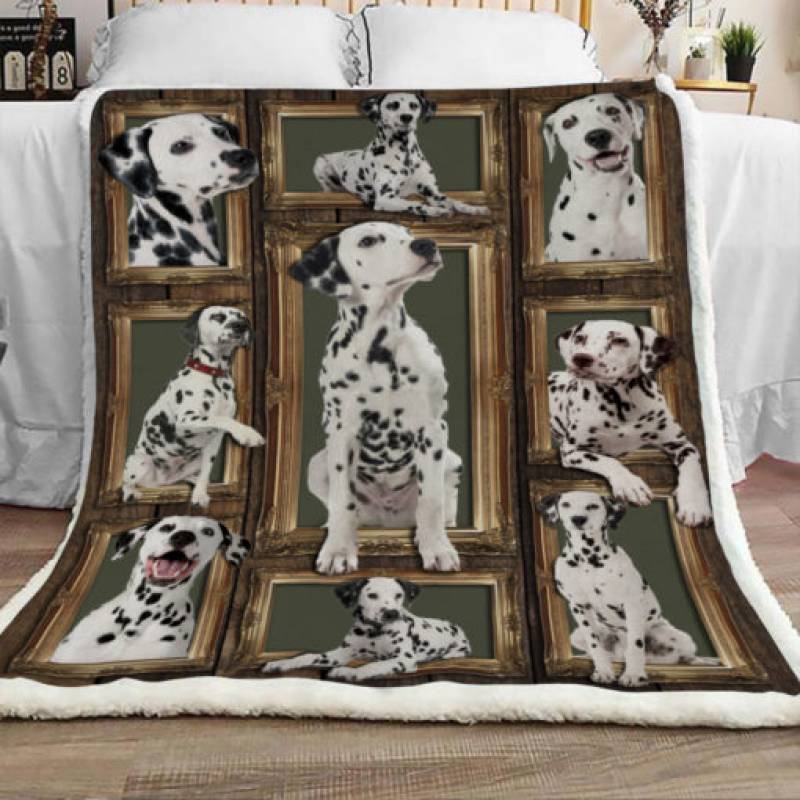 Dalmatian Dog Sherpa Blanket JR0801 70O31