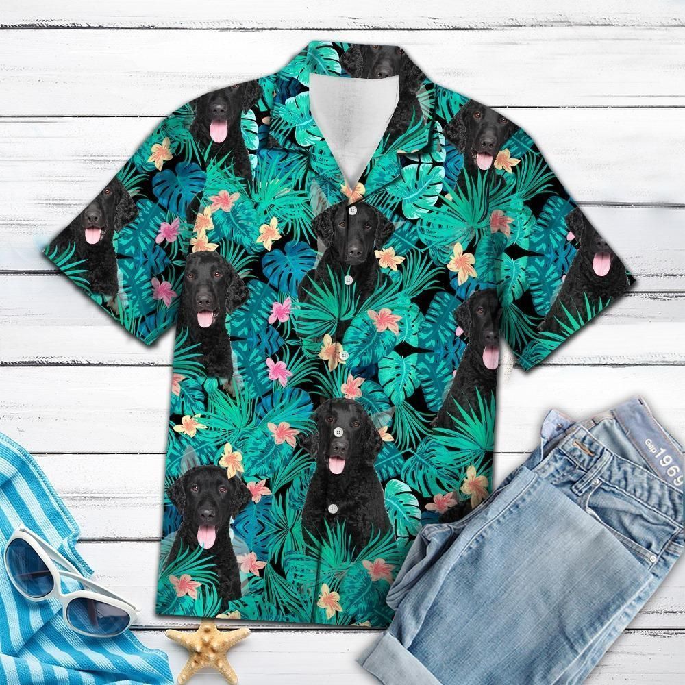 Curly Coated Hawaii Shirt Ha20537