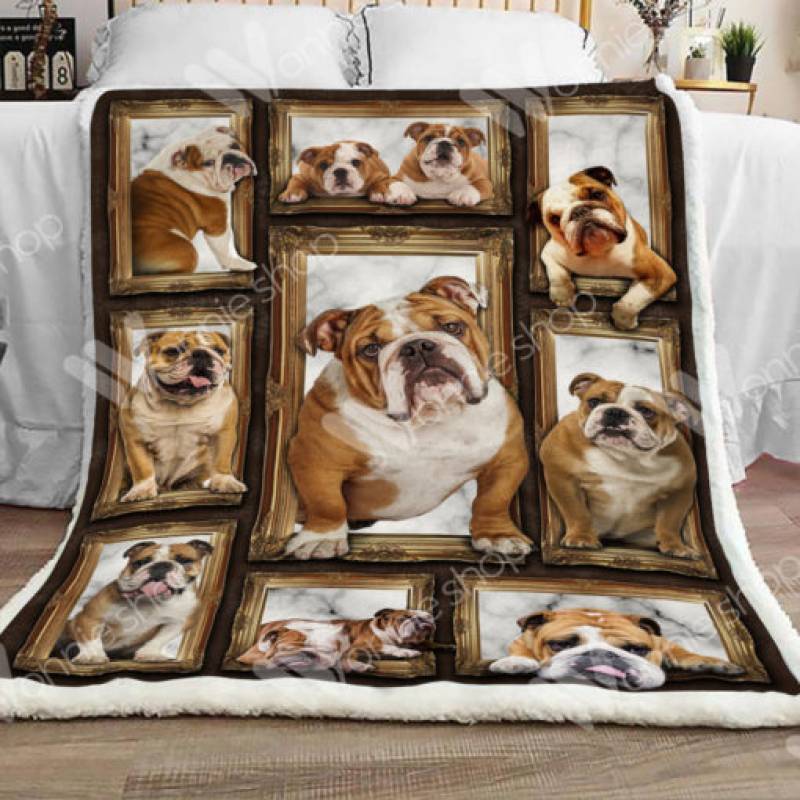 Bulldog Sherpa Blanket DCB0902 81O60