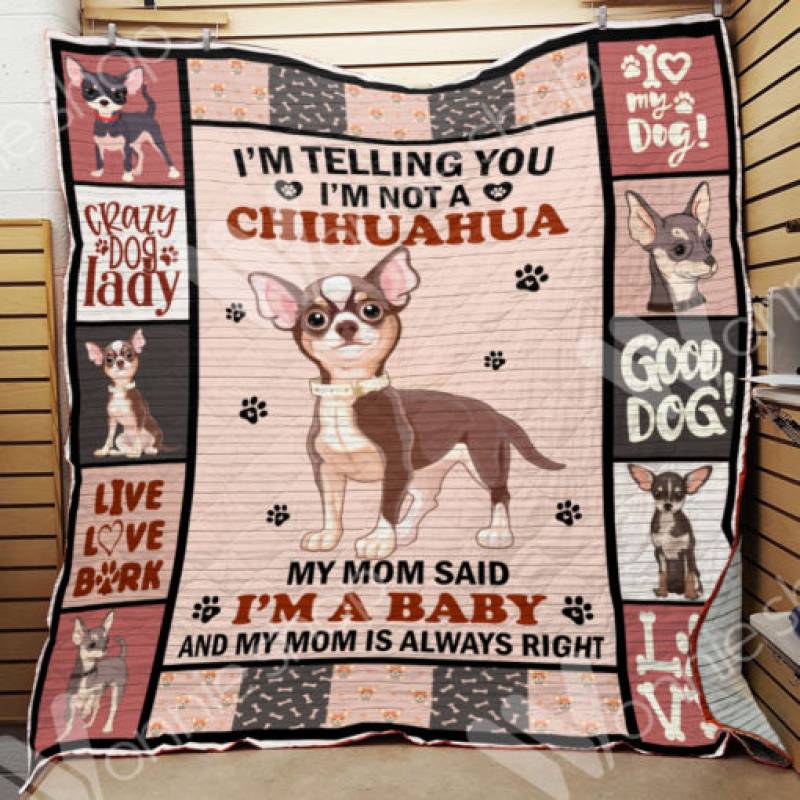 Chihuahua Dog Blanket NOV0202 69O51