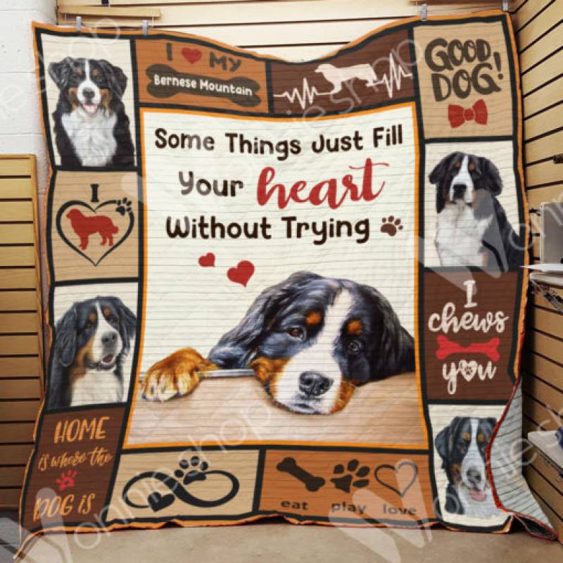 Bernese Mountain Dog Blanket DCB1701 67O52