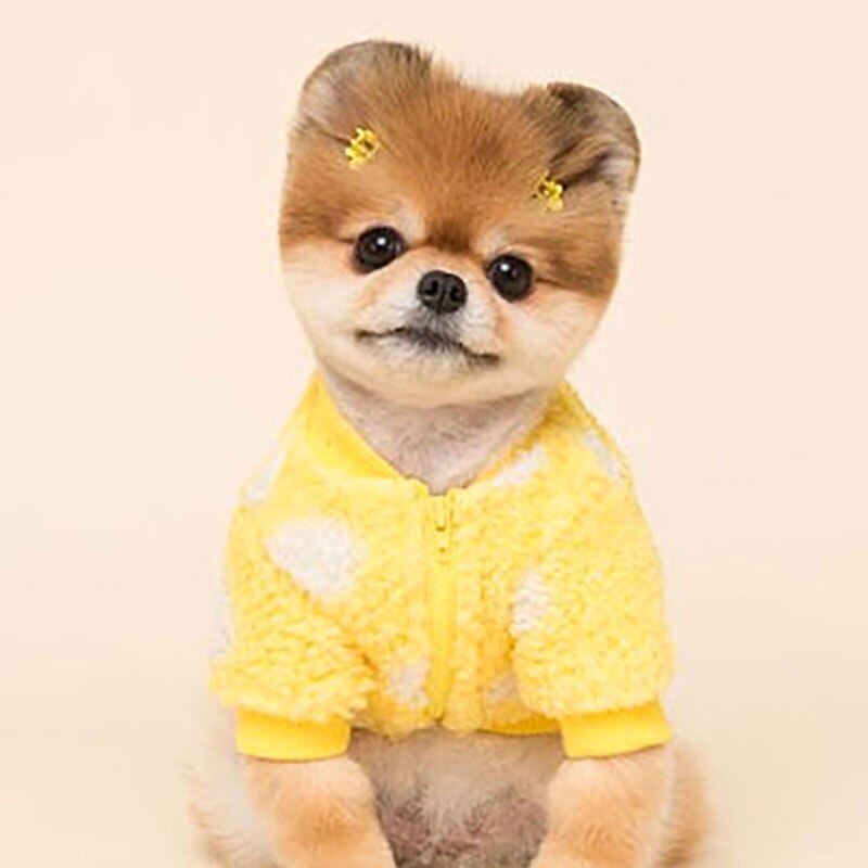 Thicken Warm Dog Clothes Bichon Teddy Plush Sweater Pomeranian Schnauzer Pullover Puppy Winter Clothes Two-legged Clothes alx