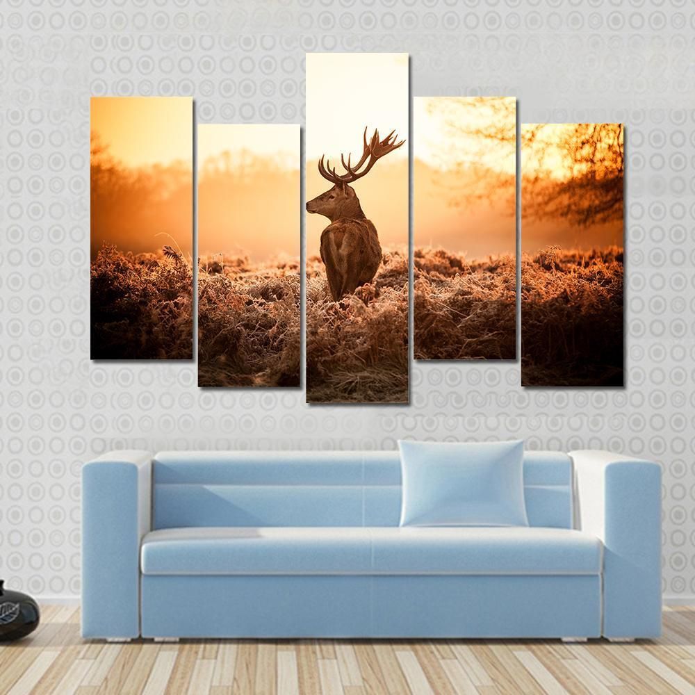 Red Deer Looking Around In Morning Sun Animal 5 Panel Canvas Art Wall Decor