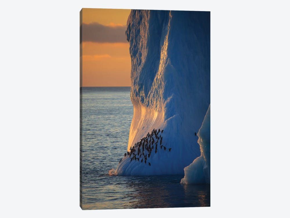 Chinstrap Penguins On Iceberg Tower Antarctica Canvas Poster 8″x12″ 12×18″ 18″x26″ 24″x36″ 30″x45″