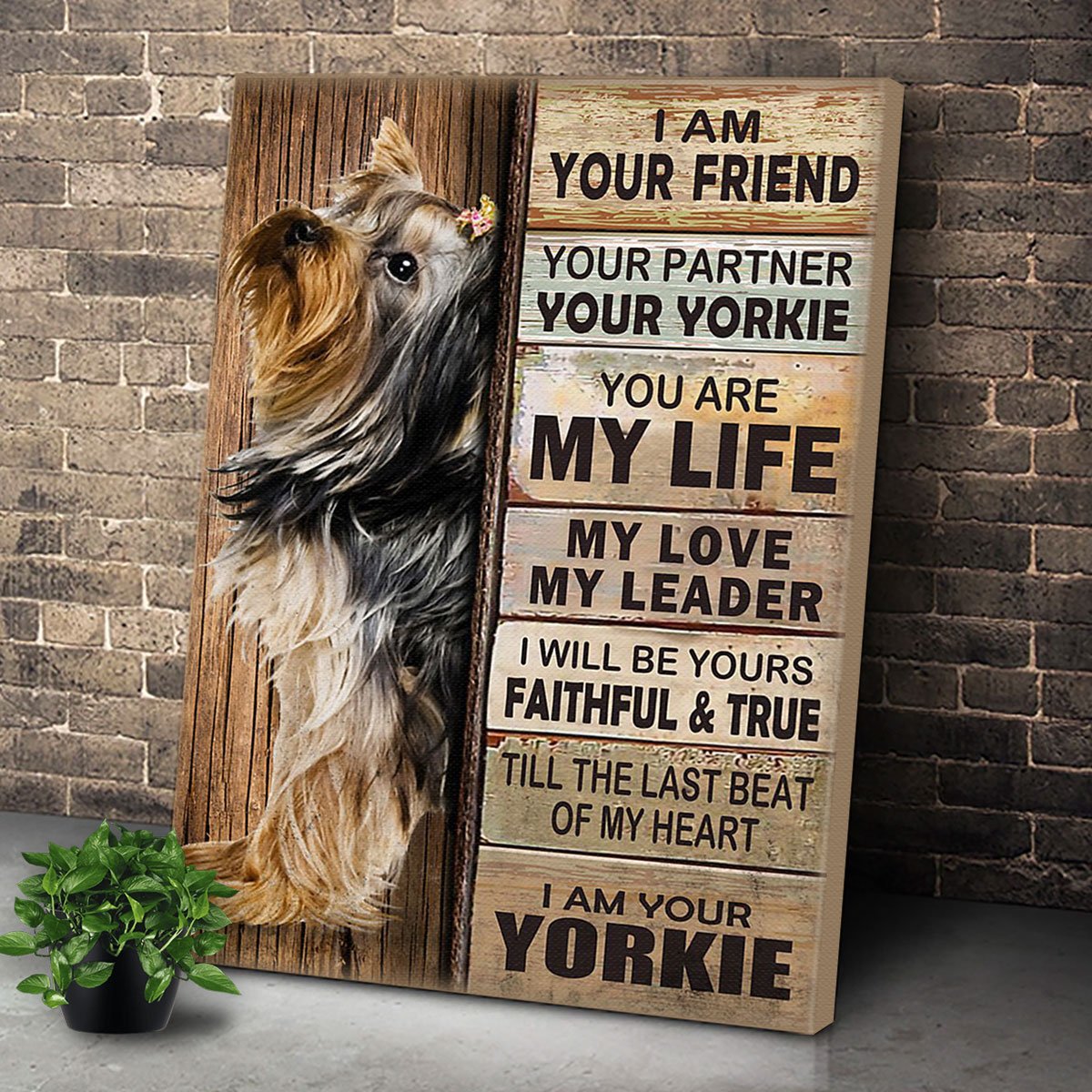 Yorkie Dog Premium Wall Art Canvas