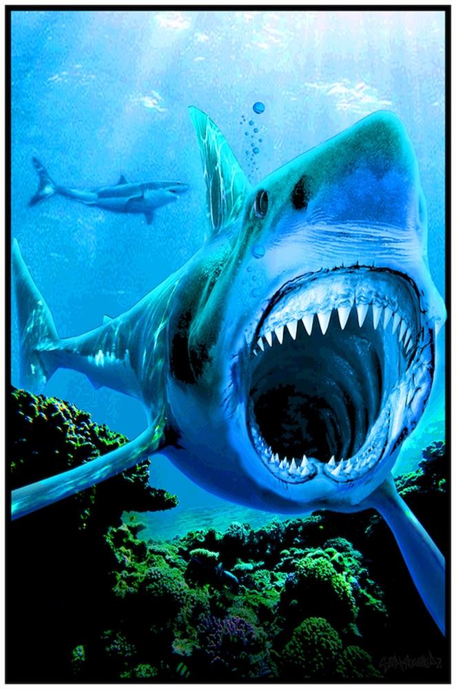 Shark Attack – Black Light Poster