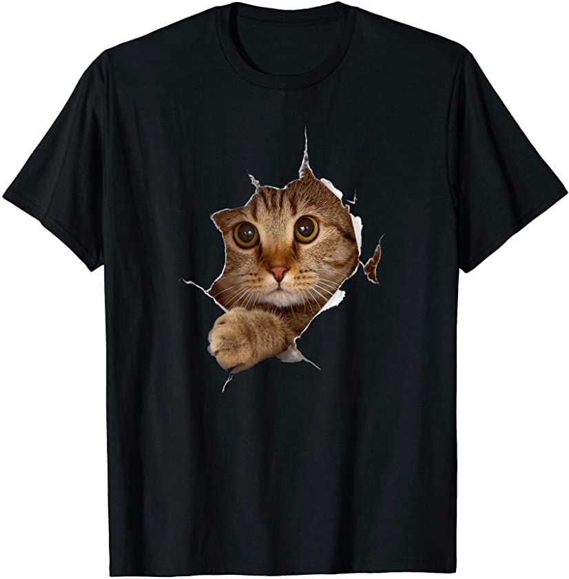 Sweet Kitten Torn Cloth – Funny Cat Lover Cat Owner Cat Lady T-Shirt