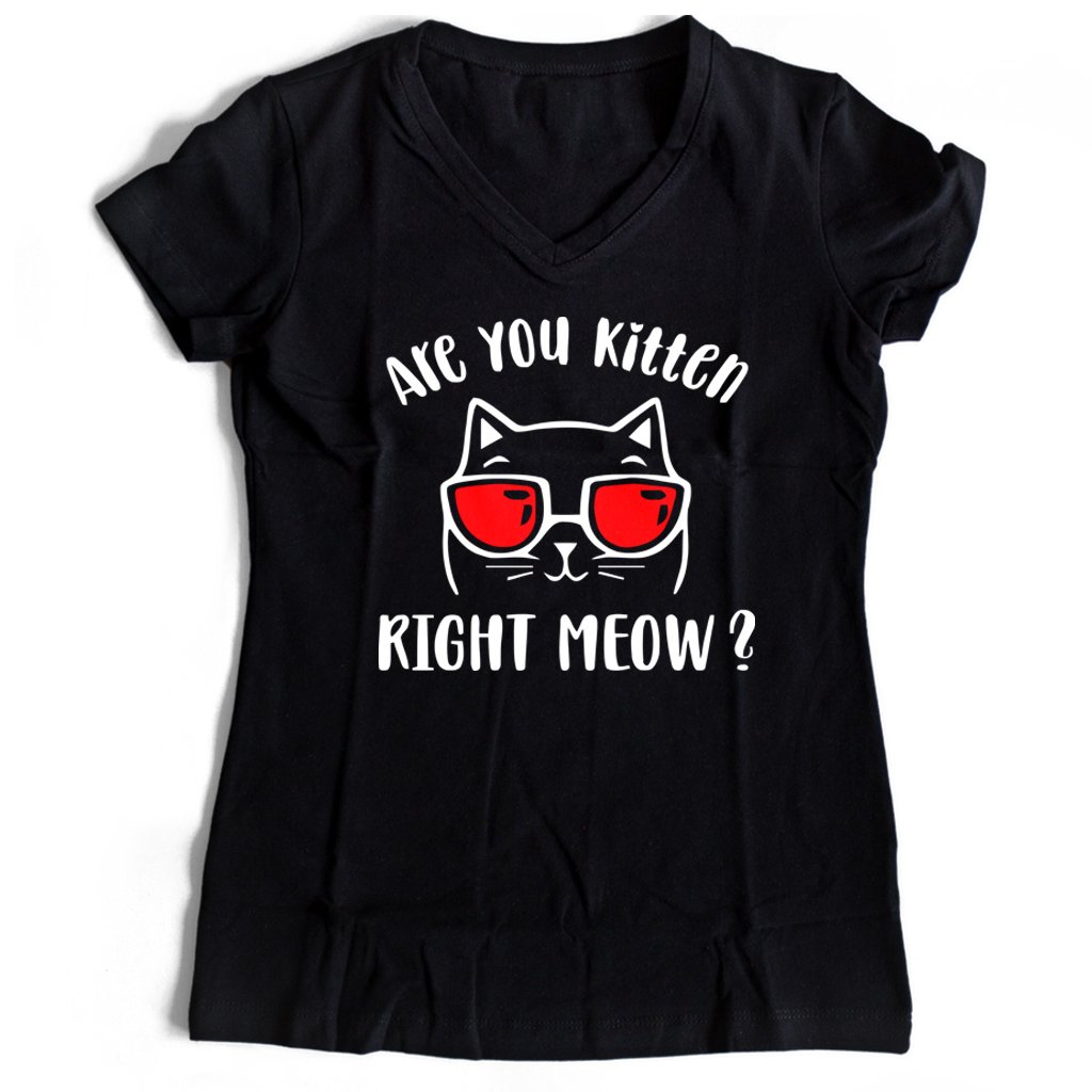 Are You Kitten Me Right Meow Cat Women’s V-Neck Tee T-Shirt