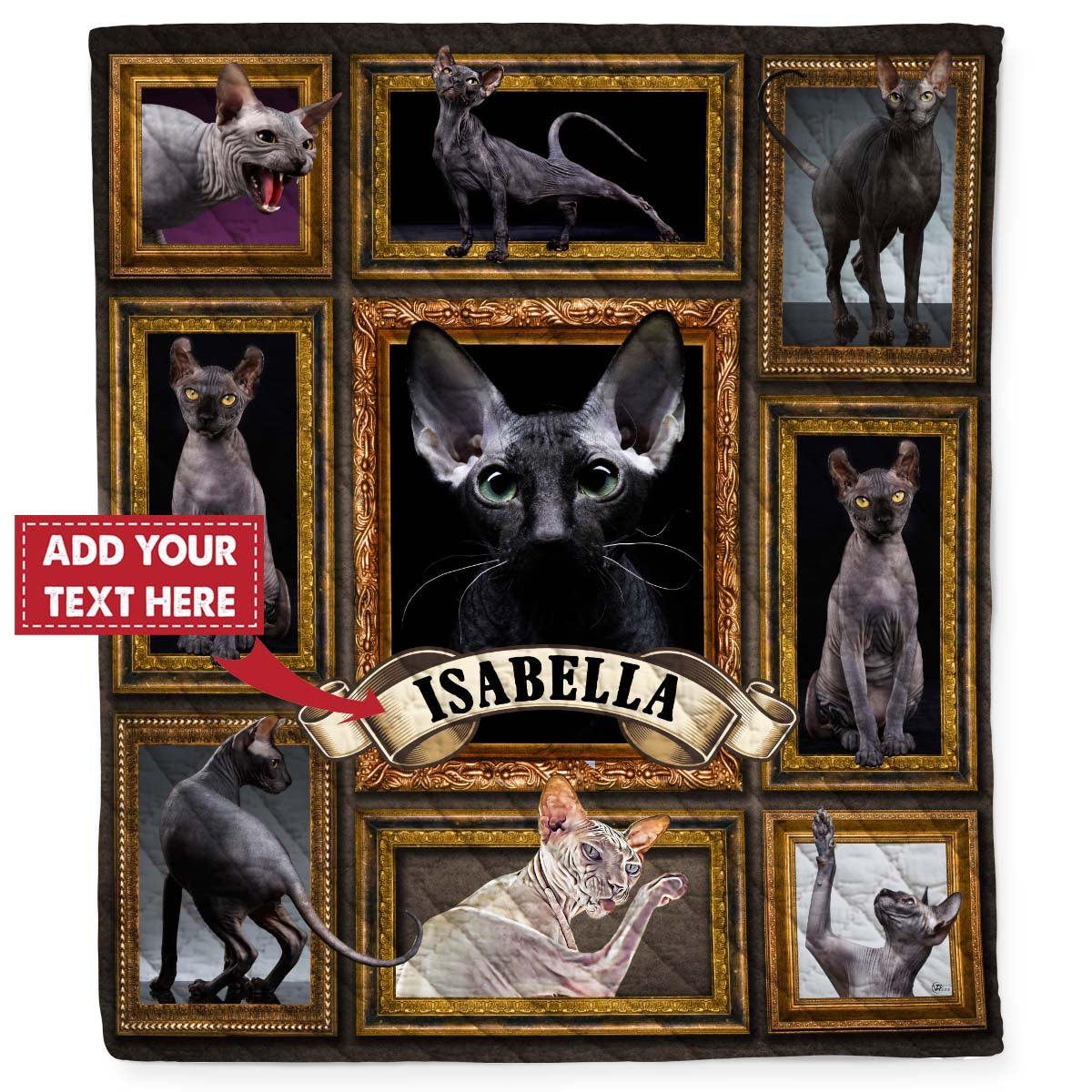 Personalized Custom Name Sphynx Cat Kitten Quilt Blanket