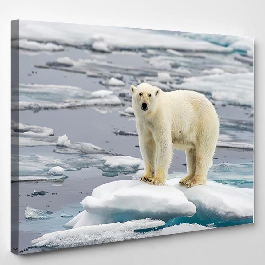 Polar Bear On Melting Ice Floe – Bear Animals Canvas Print