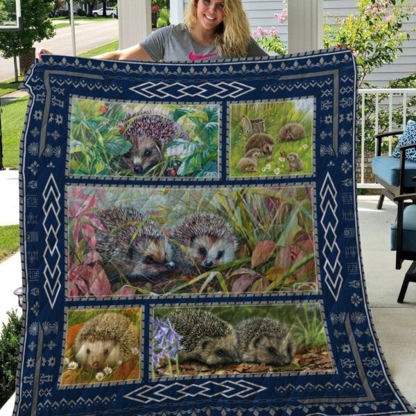 Hedgehog Thqa25002 3D Quilt Blanket HGM9