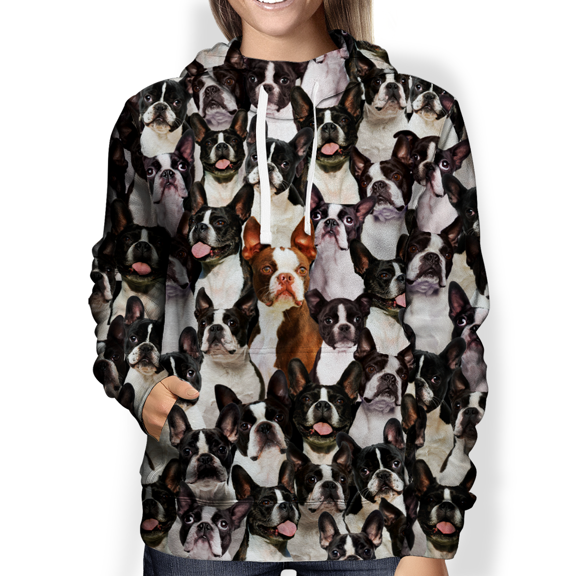 You Will Have A Bunch Of Boston Terriers – Hoodie V1