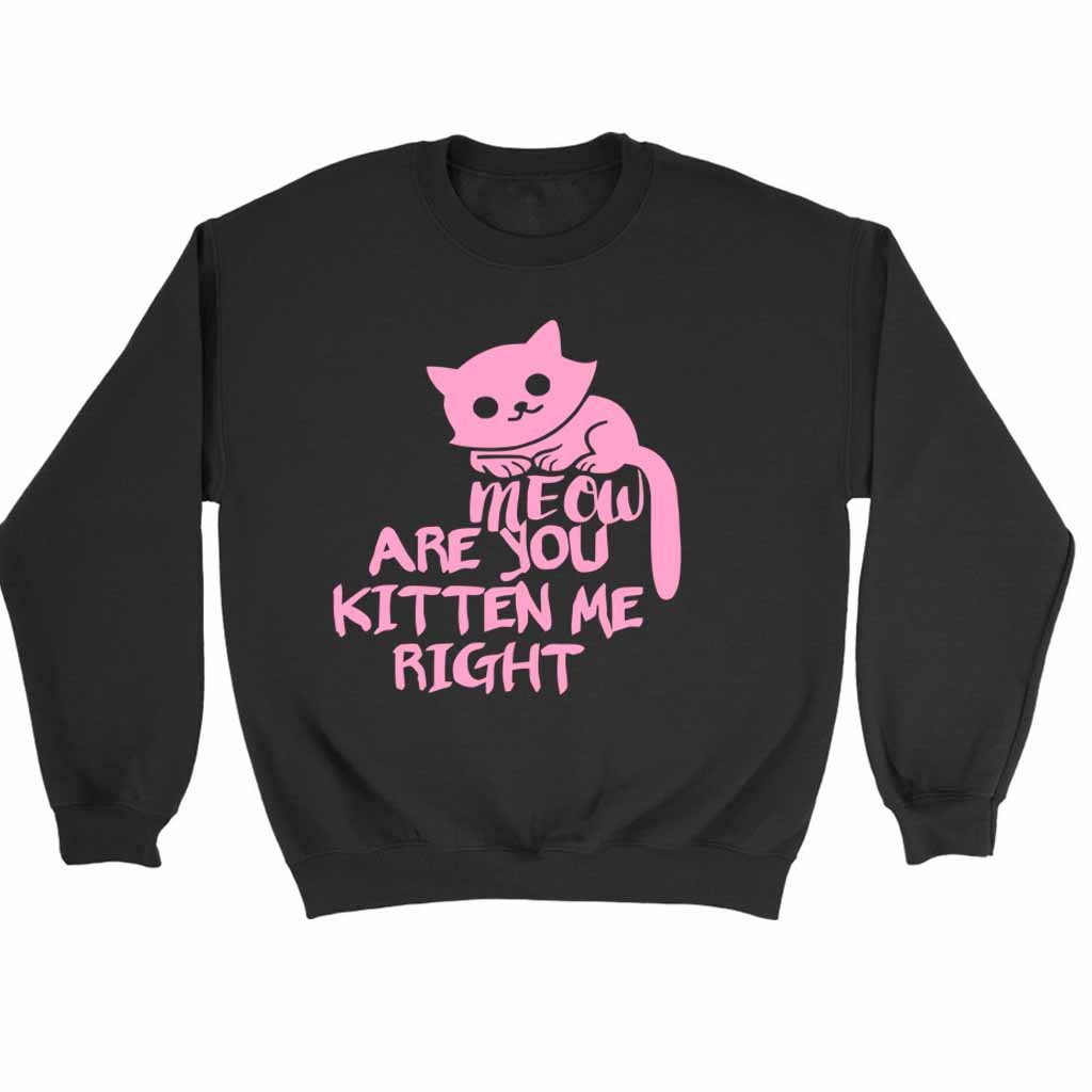 Are You Kitten Me Right Meow Four Sweatshirt Sweater