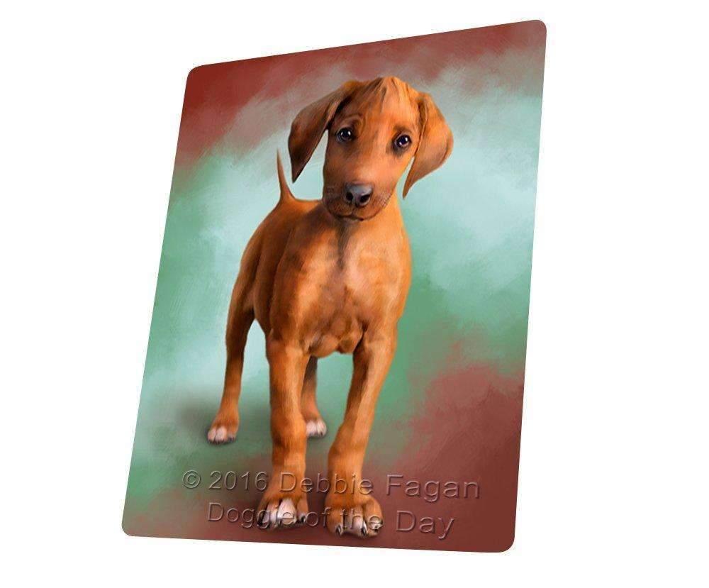 Rhodesian Ridgeback Puppy Blanket Blnkt48594