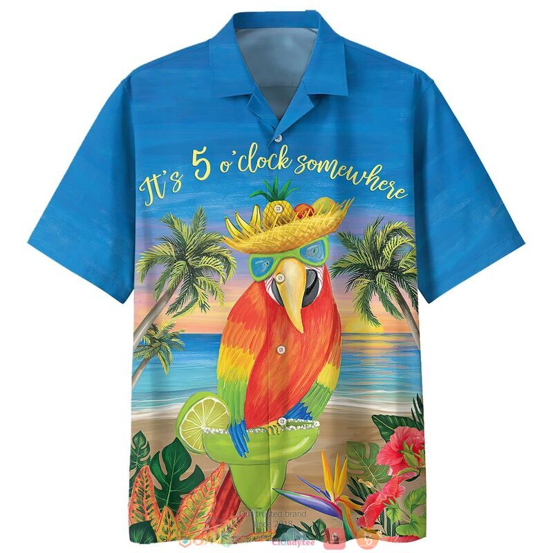 Parrot 5 Somewhere Who Cares Hawaii Shirt For Men And Women Ha12561