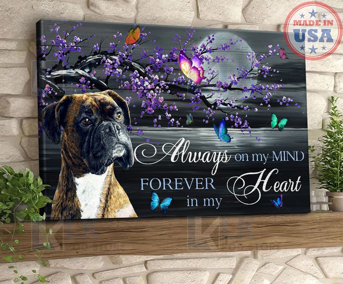 BOXER – CANVAS Always On My Mind [ID3-N] | Framed, Best Gift, Pet Lover, Housewarming, Wall Art Print, Home Decor