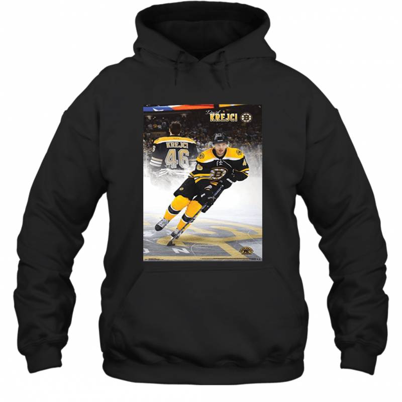 International Boston Bruins David Krejci Wall Hoodie