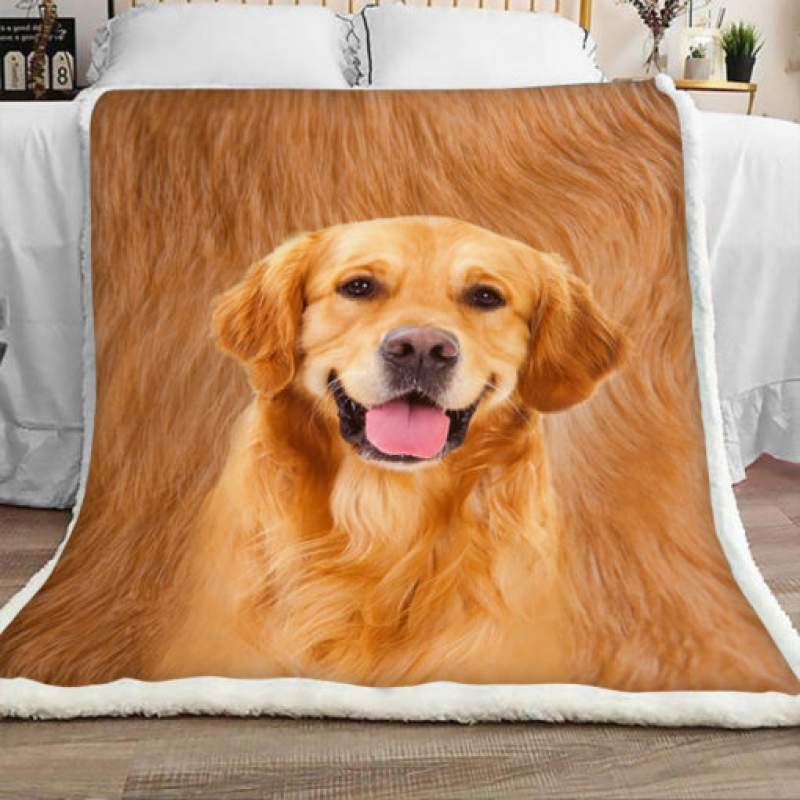 Golden Retriever Dog Sherpa Blanket JR1302 68O52