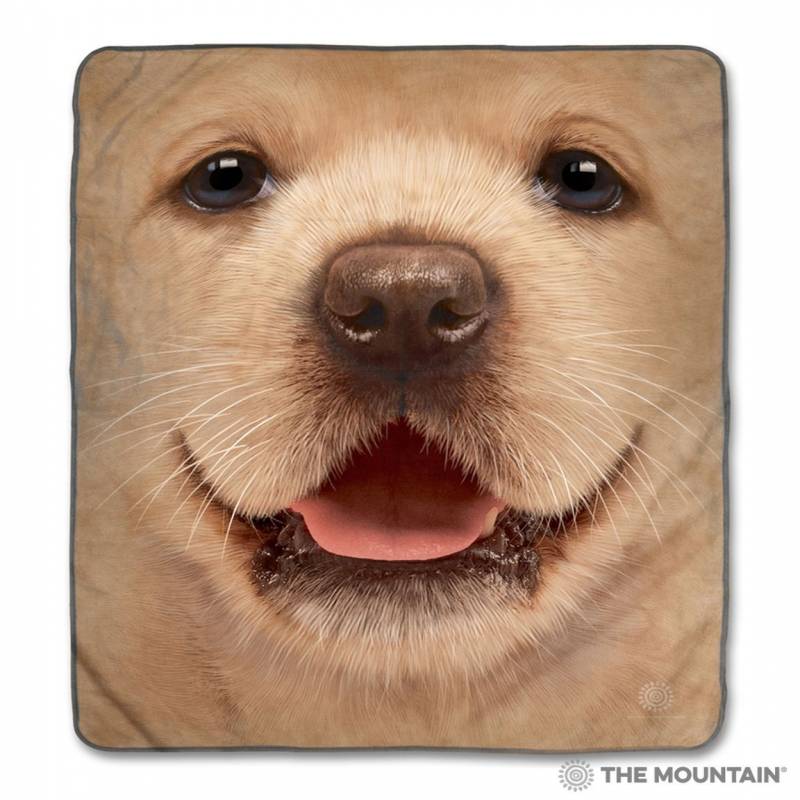 Big Face Yellow Lab Puppy CLA1712730F Sherpa Fleece Blanket