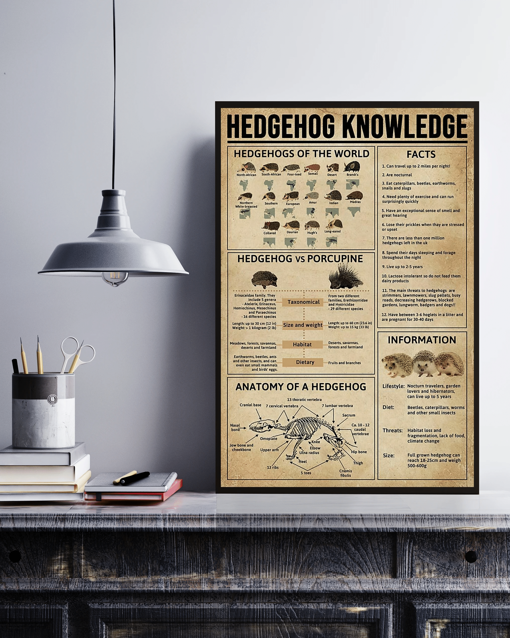 Whippet Knowledge Canvas Poster Wall Art