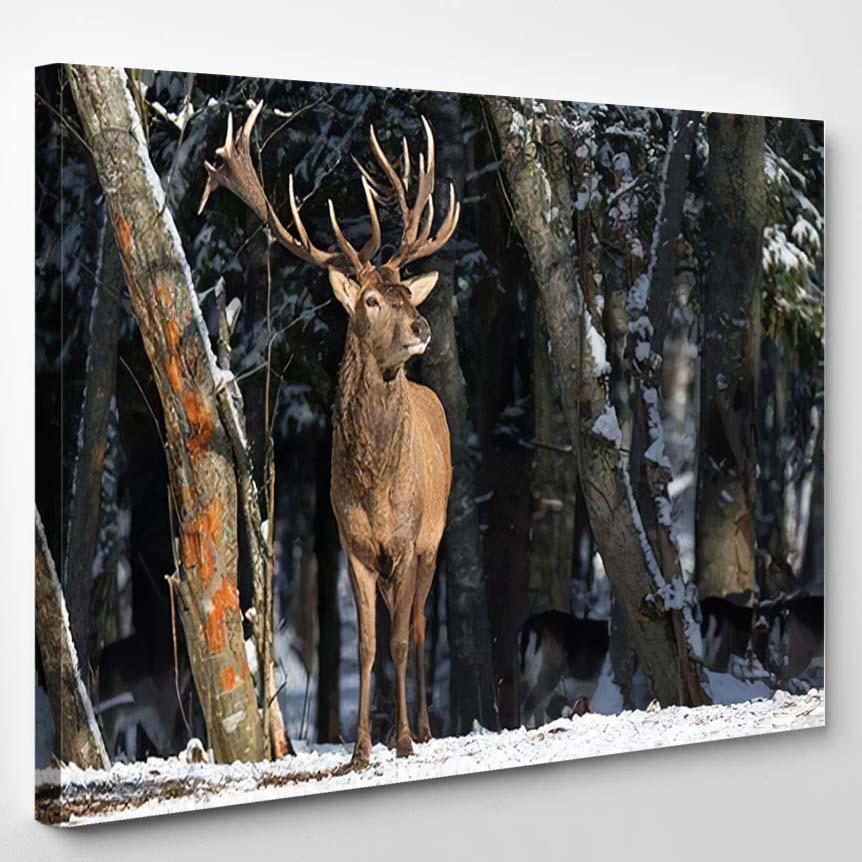 Smell Springdeer Breathing Fresh Spring Air – Deer Animals Canvas Print