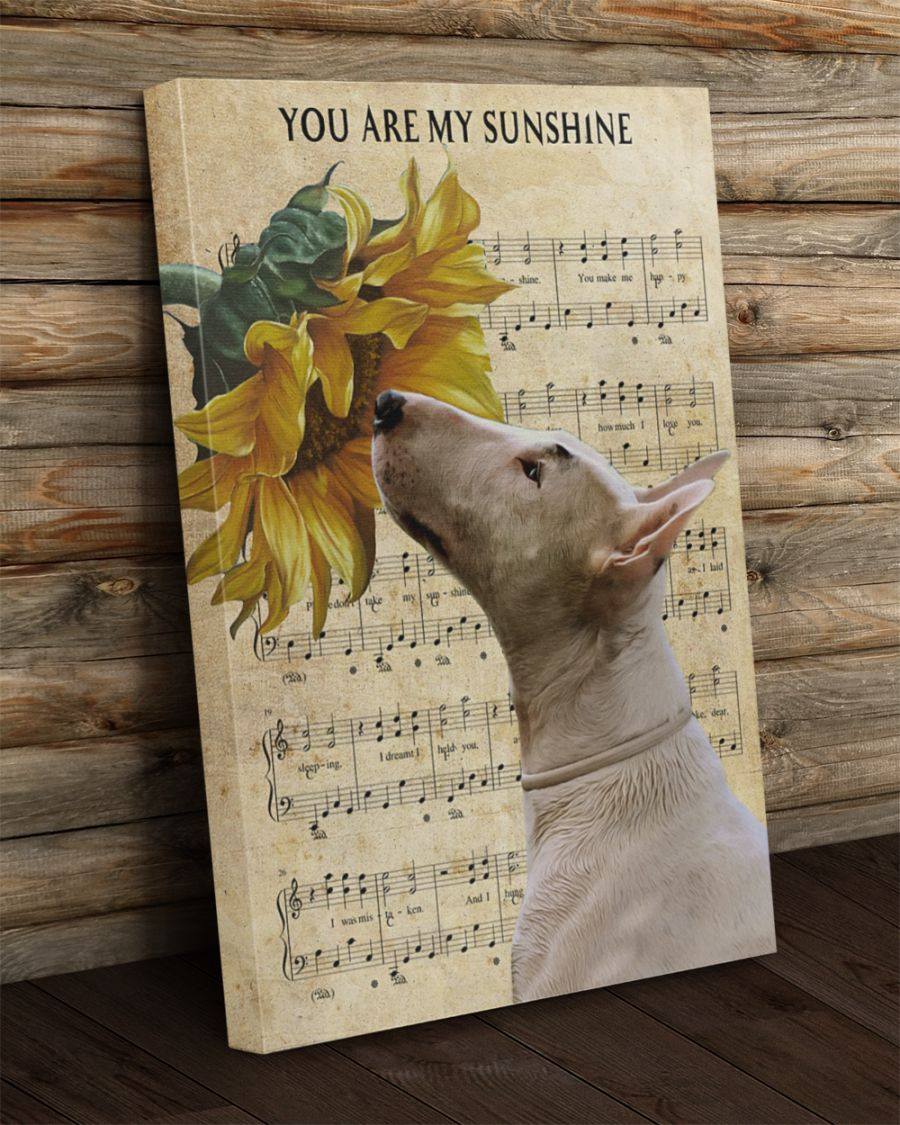 Bull Terrier You Are My Sunshine Canvas Gift for Friend Birthday Gift Warm Home Decor Wall Art Visual Art