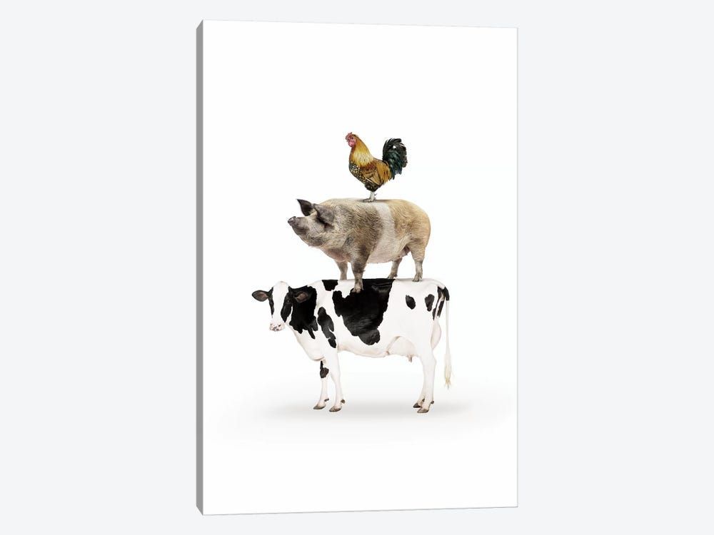 Three Stacked Farm Animals Canvas Poster 8”x12” 12×18” 18”x26” 24”x36” 30”x45”