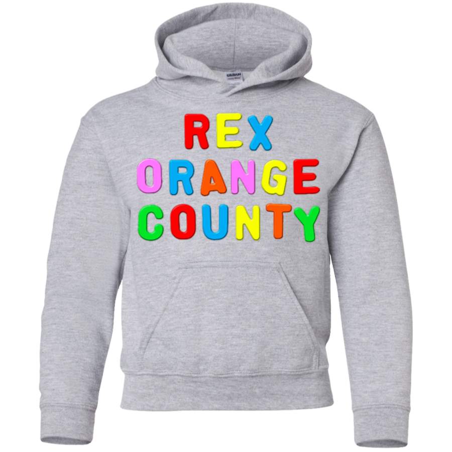 AGR rex orange county Youth Pullover Hoodie