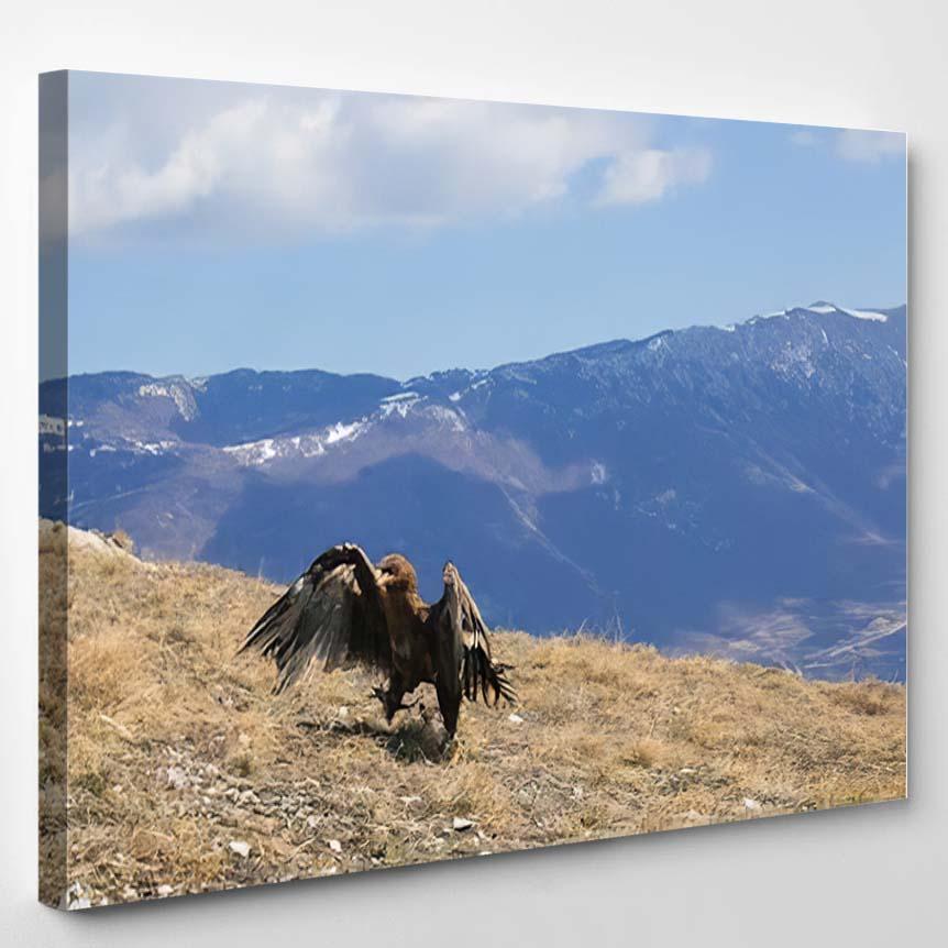 Portrait Golden Eagle Walking Ground – Eagle Animals Canvas Print