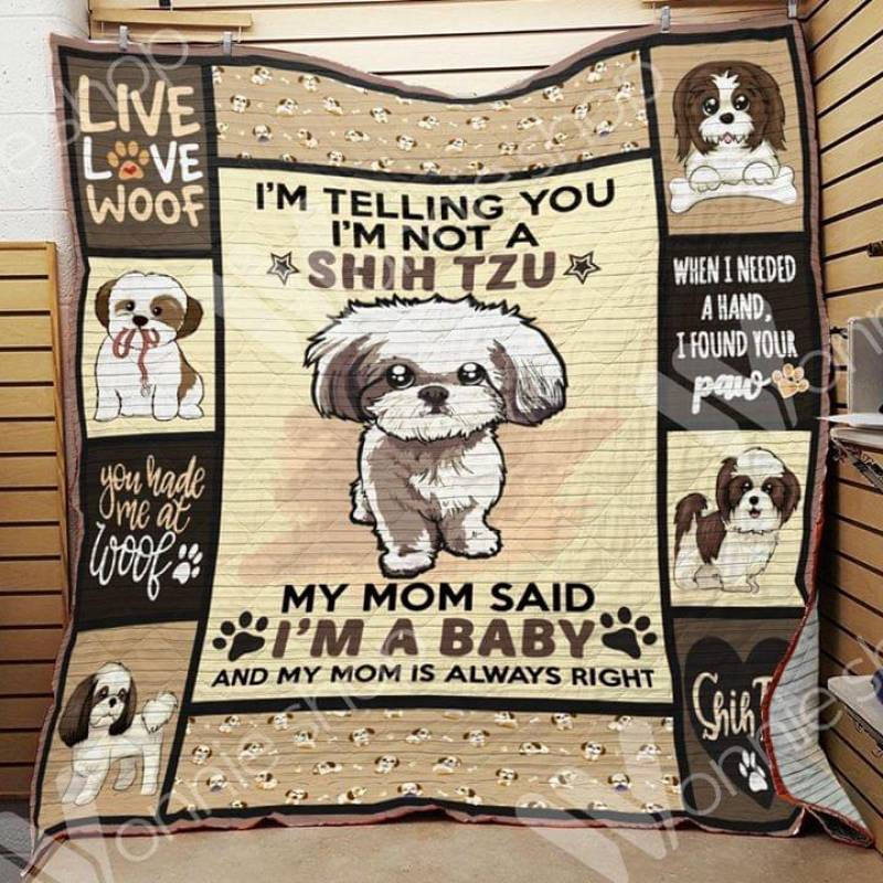 A BC-Shih Tzu Dog Blanket