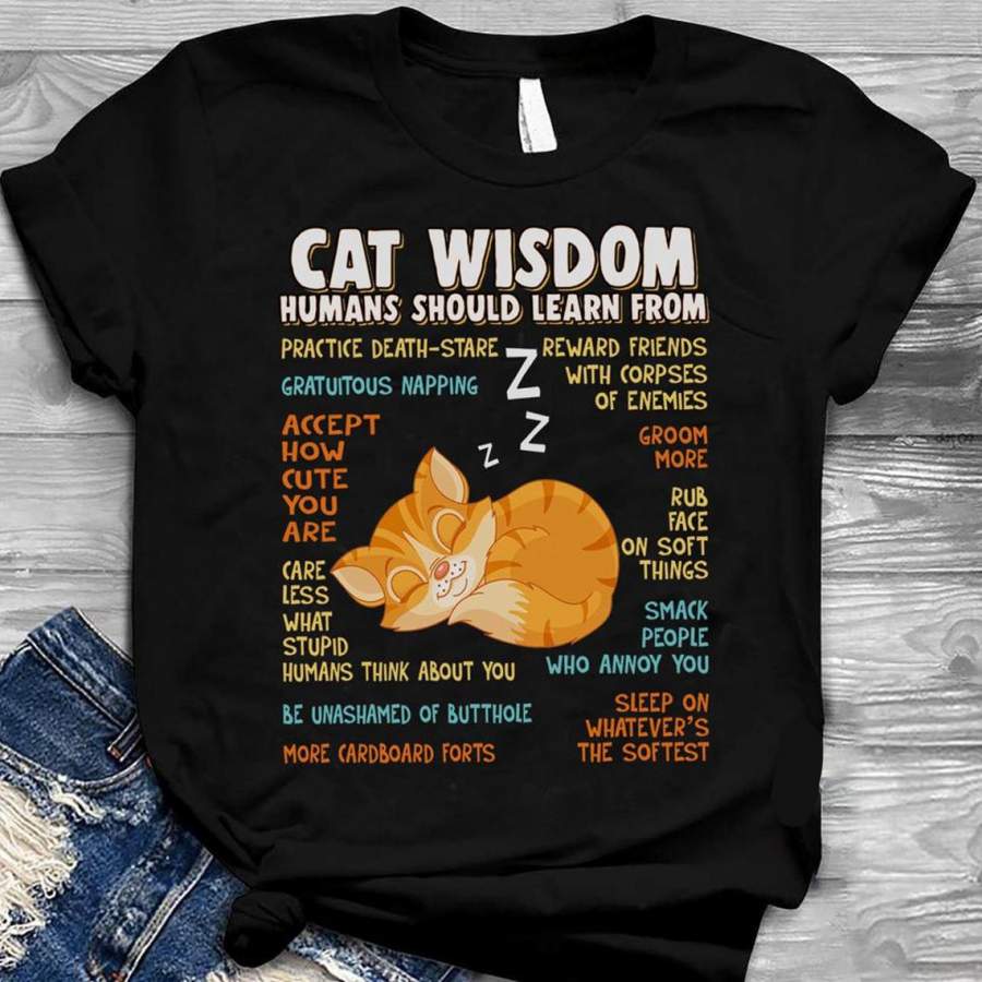 Cat Wisdom tShirt, Womens Cat Tshirt, Cat Lovers Gift, Cat Lady Gift, Funny Cat Shirt