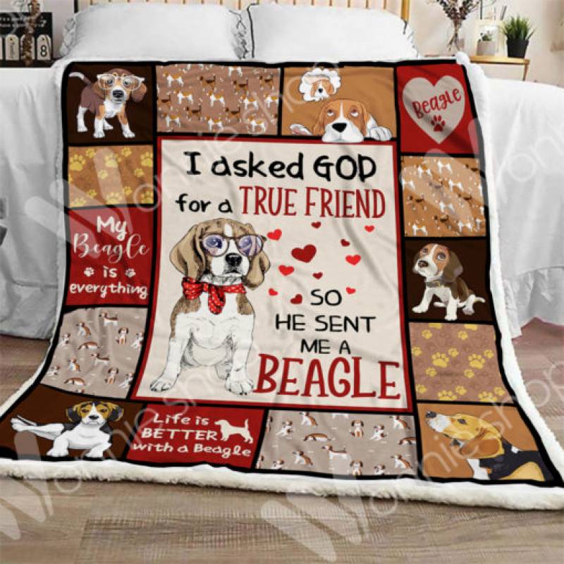 Beagle Sherpa Blanket OCT2303 77O58