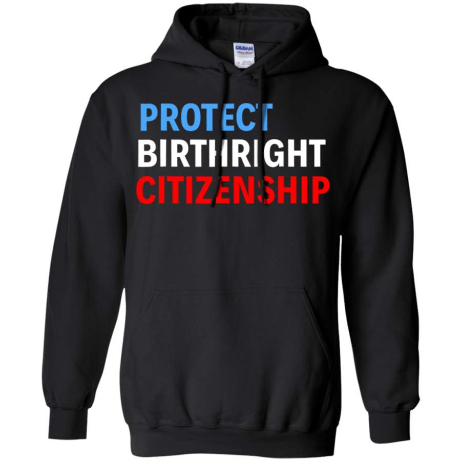 AGR Protect Birthright Citizenship 14th Amendment T-Shirt hoodie