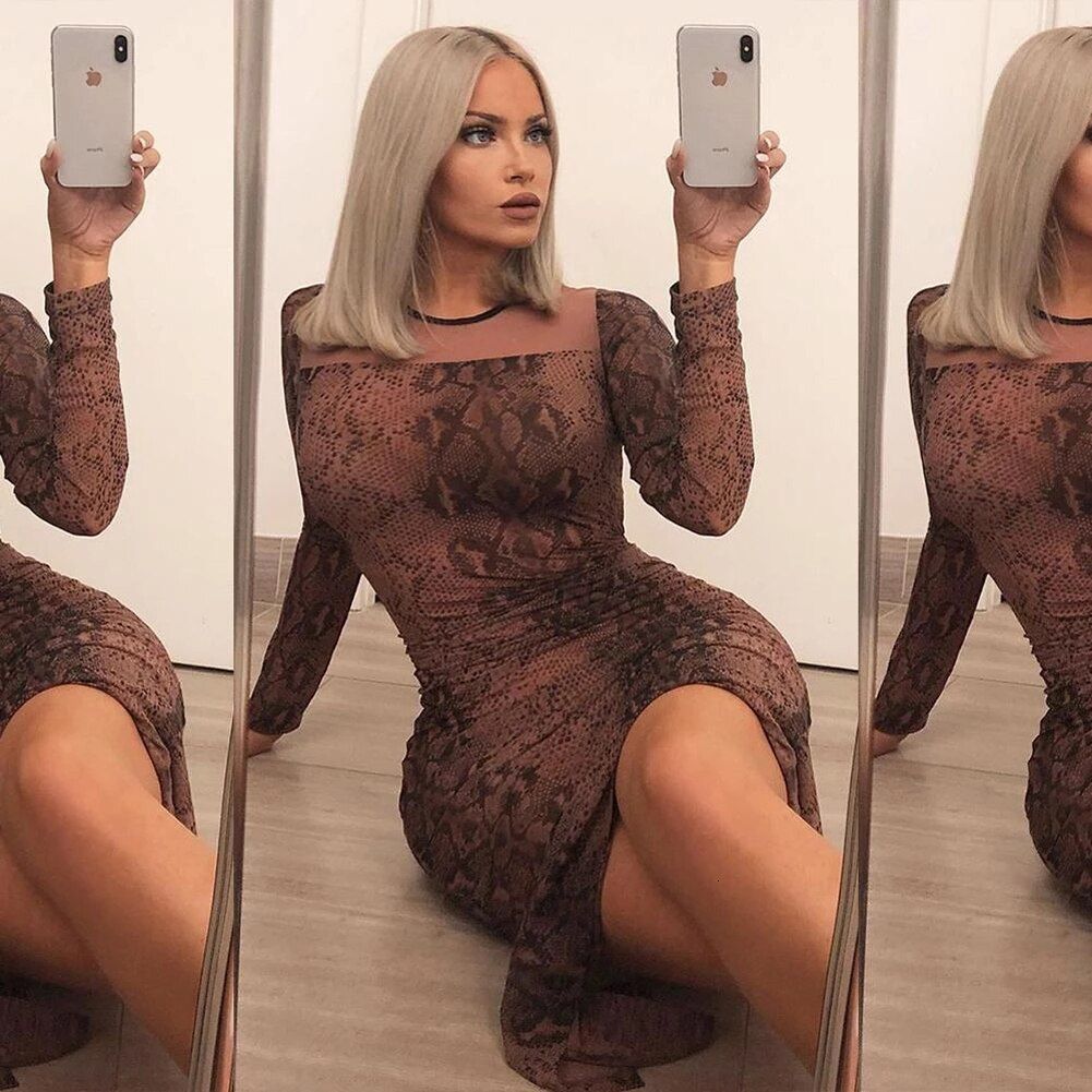 Sexy Long Sleeve Bodycon Leopard Dress