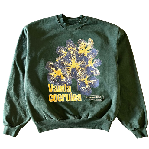 Vanda Coerulea Crewneck Sweatshirt Outfit  For Men  For Women