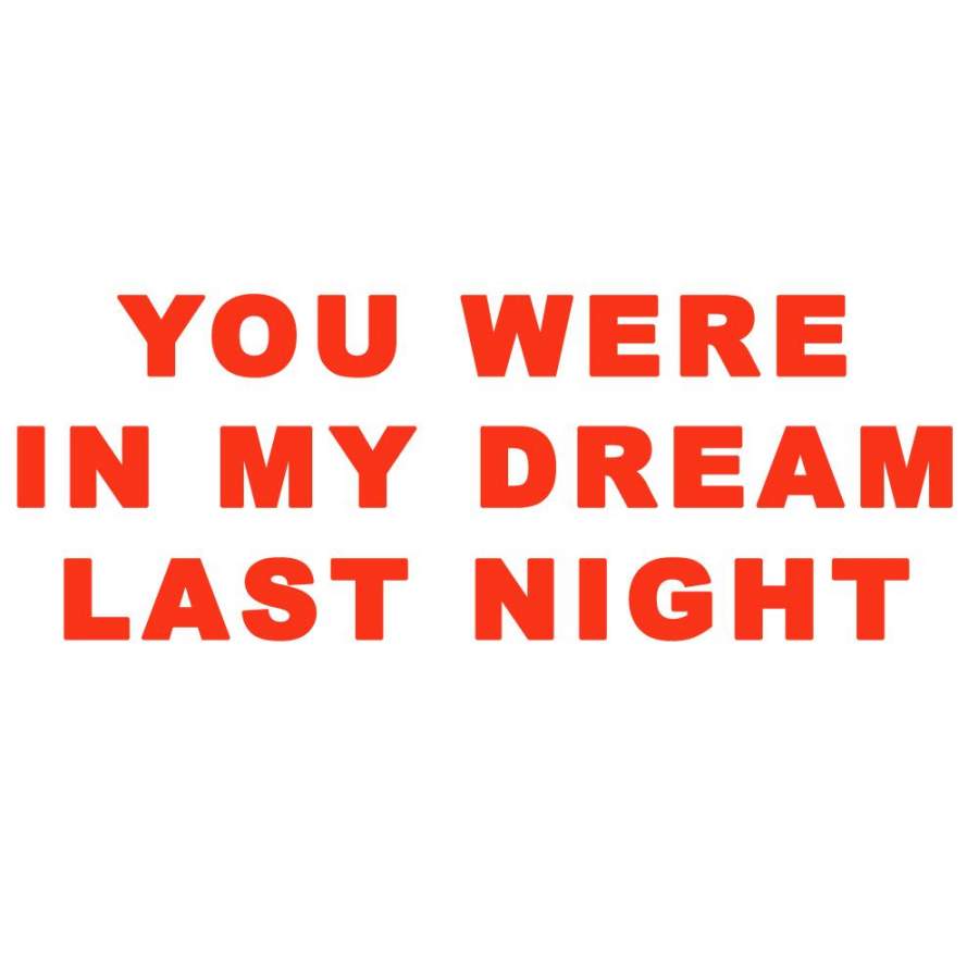 You Were In My Dream Last Night Design For Hoodie Sweatshirt and T-Shirt