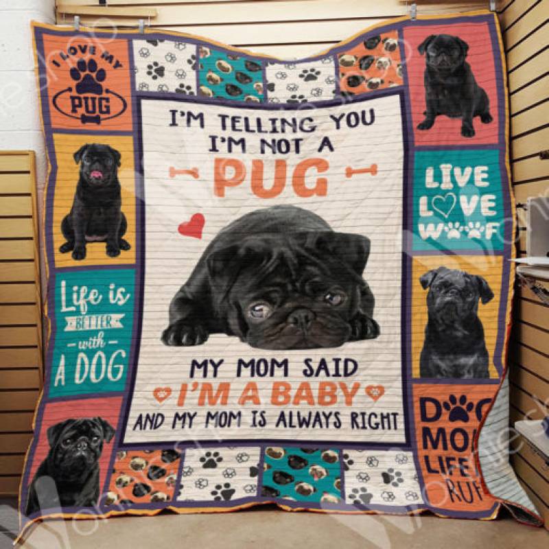 Pug Dog Blanket NOV2901 67O39