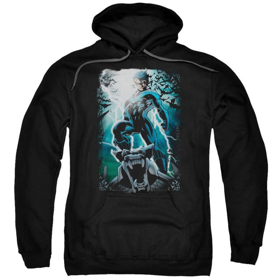 Batman – Night Light Adult Pull Over Hoodie