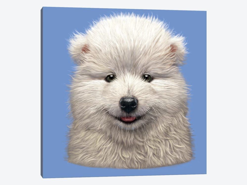 Samoyed Puppy Canvas Poster 8″x12″ 12×18″ 18″x26″ 24″x36″ 30″x45″