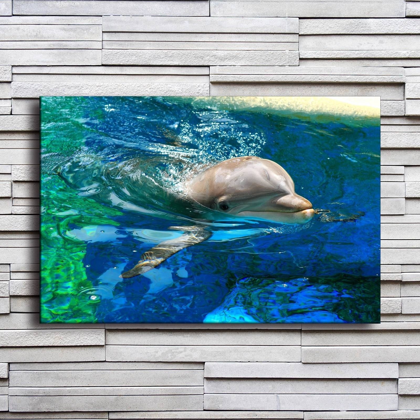 Dolphin In Water 1 Piece Hd Multi Panel Canvas Wall Art Frame