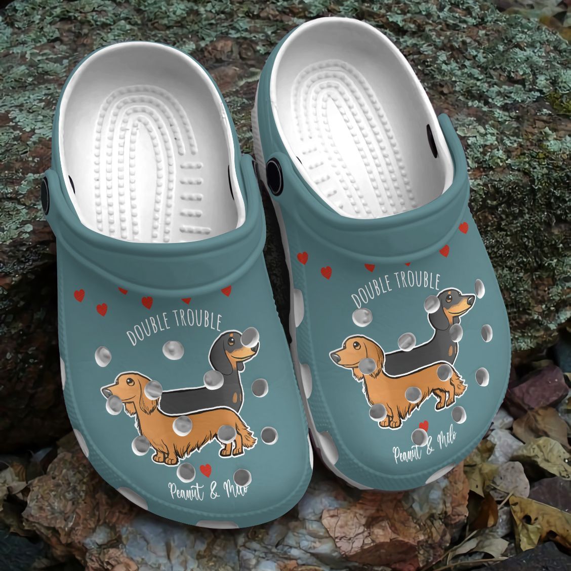 Dachshund Personalized Clog, Custom Name, Text, Color, Number Fashion Style For Women, Men, Kid, Print 3D Double Trouble