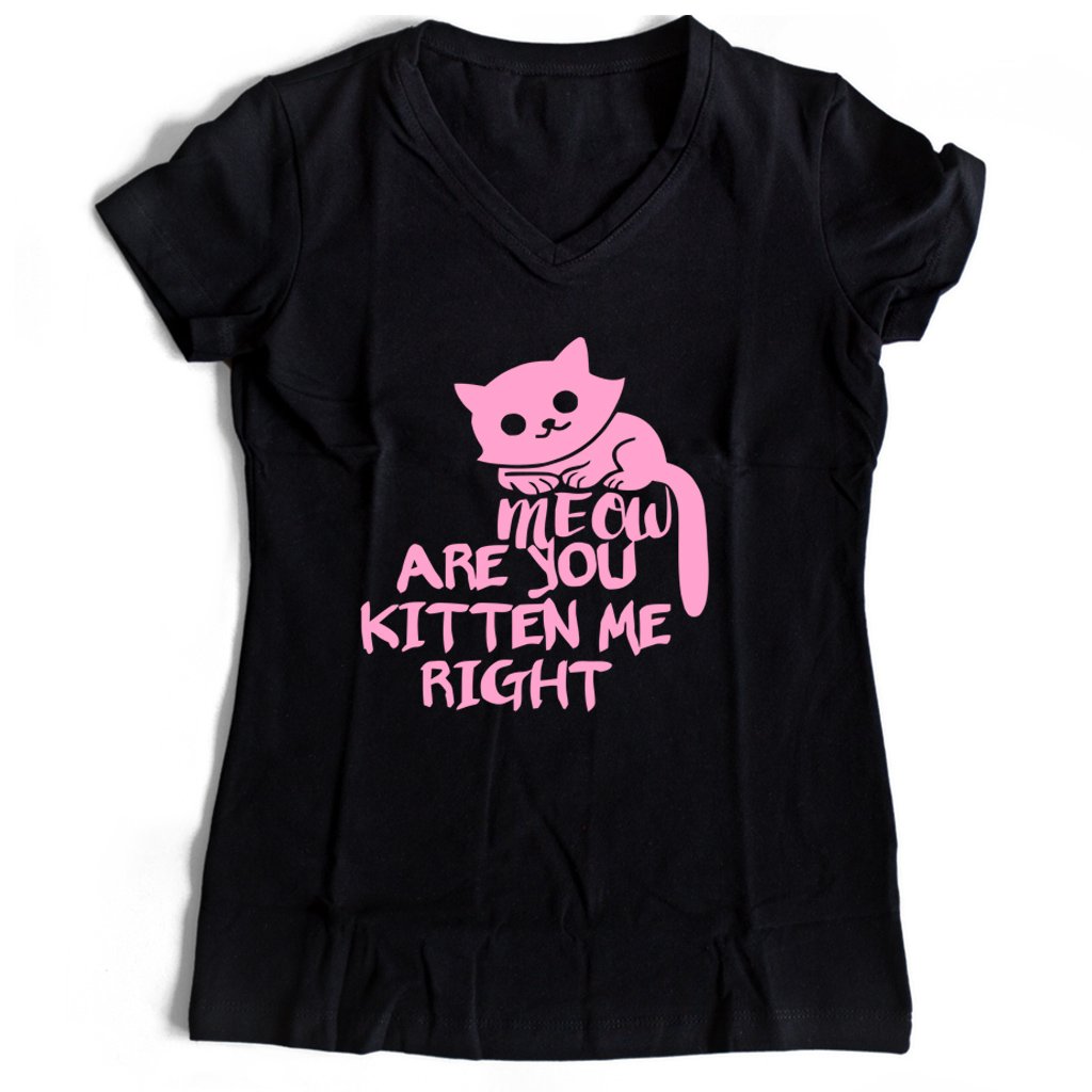 Are You Kitten Me Right Meow Four Women’s V-Neck Tee T-Shirt