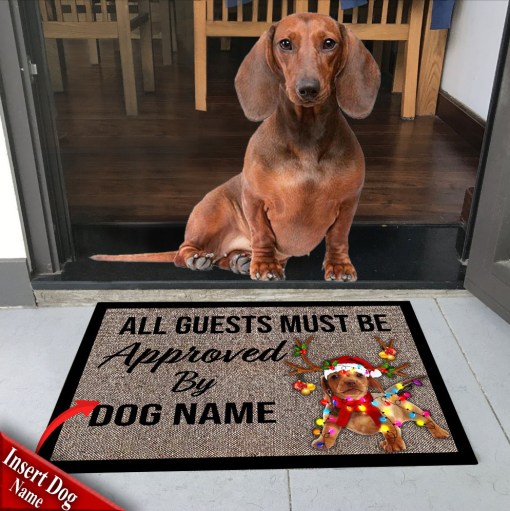 Custom Dachshund Ds76 Doormat All Over Printed(6888)