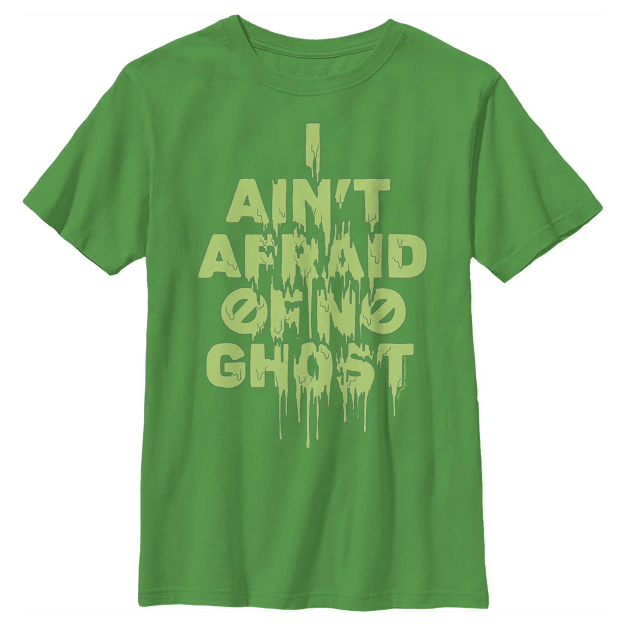 Boy’S Ghostbusters I Ain’T Afraid Of No Ghost Streak T-Shirt