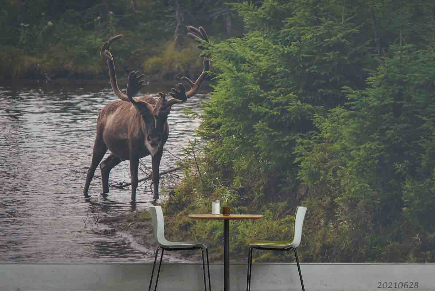 3D Green Forest River Animal Elk Wall Mural Wallpaper Lqh 210