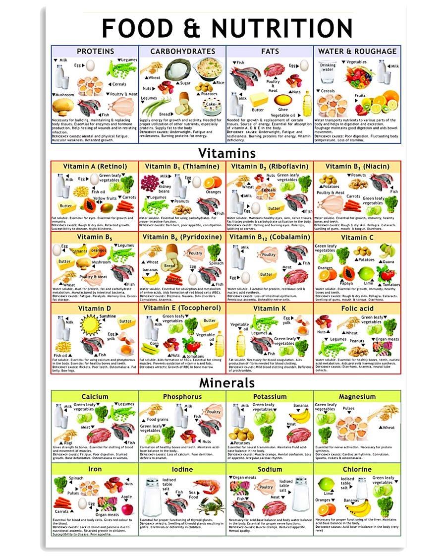 Dietitian Nutritionist Food And Nutrition Poster Wall Decor Best Gift ...