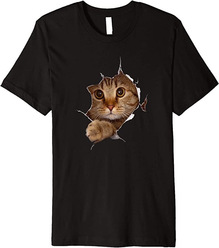 Sweet Kitten Torn Cloth – Funny Cat Lover Cat Owner Cat Lady Premium T-Shirt